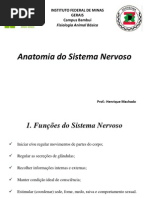 Anatomia Do Sistema Nervoso