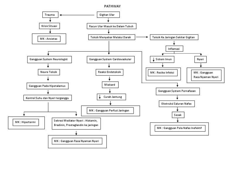 Pathway of Snake Bite Management | PDF