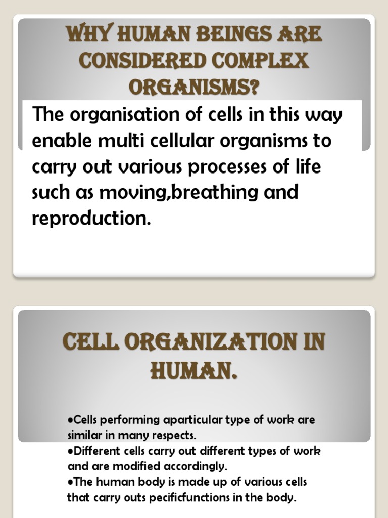 Understanding Human Body Complexity | PDF | Wellness