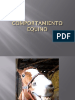 Comportamiento Equino PDF