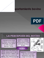 Comportamiento Bovino PDF