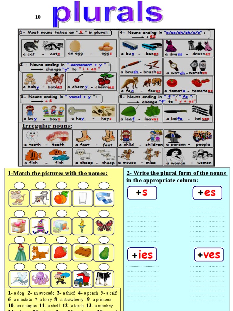1 Match The Pictures With The Names 2Write The Plural Form of The