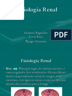 Fisiologia Renal - Seminário