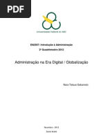 Administração na Era Digital Globalização