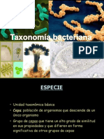 Clase Taxonomia Bacteriana