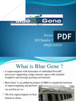 Blue Gene