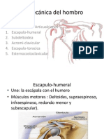 Biomecánica Del Hombro 444