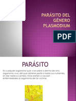 parásito del género Plasmodium