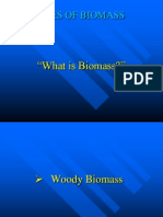 Uses of Biomass Presentation