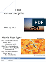 BIO 3303 4.5 Muscle and Animal Energetics