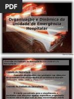 2_1 Organização e Dinâmica da Unidade de Emergência Hospitalar