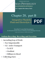 Acid Base Basic Physiology - Lect