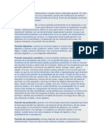 La Boca Juega Un Rol Fundamental en Nuestra Salud y Bienestar General