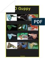 Guia completo sobre cuidados com o Guppy