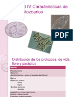 IAUnidad IV Características de Los Protozoarios