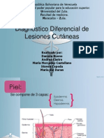 Seminario Piel