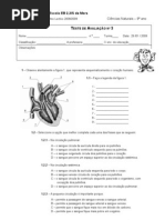 Teste Cardiovascular