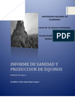 Informe de Sanidad y Produccion de Equinos