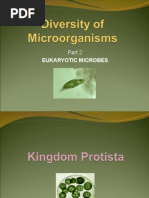 Diversity of Microorganisms 2