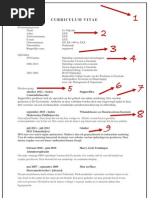 Download Curriculum Vitae Jos Intermediair 201302pdf by intermediair SN124500390 doc pdf