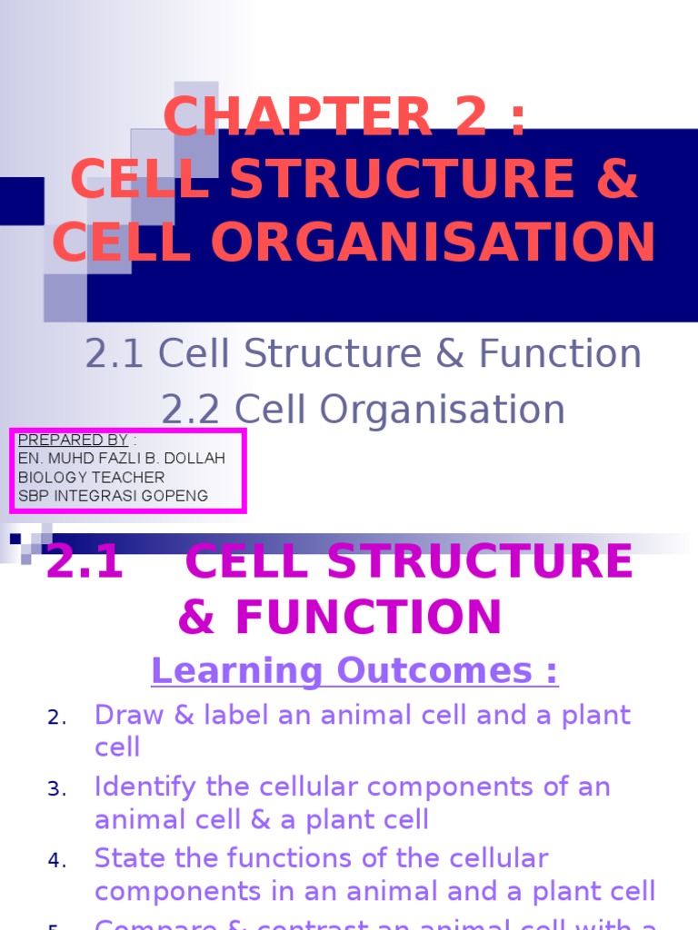 Cell Structure and Function Overview | PDF | Endoplasmic Reticulum ...