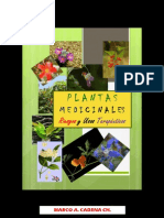 Plantas Medicinales - Riesgos y Usos Terapeuticos