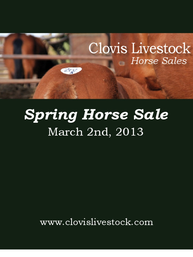 Clovis Horse Sales Spring 2013 Catalog PDF Mare Mammal Breeds