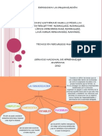 Exposicion Organizacional