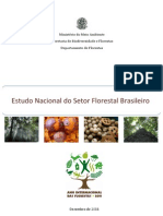 Estudo Nacional Do Setor Florestal Brasileiro