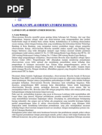 Download Laporan Boscha by ECko Ok SN124616682 doc pdf
