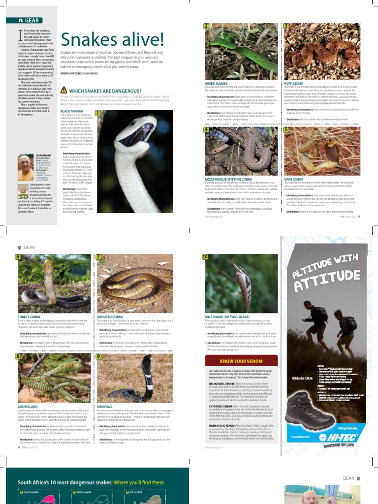 Snake Safety Guide for Outdoor Enthusiasts | PDF | Snake | Venomous Snakes