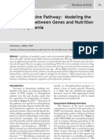 The Kynurenine Pathway: Modeling The Interaction Between Genes and Nutrition in Schizophrenia