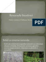 Resursele Biosferei