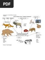 Harta Proiectului Animale Salbatice de La Noi Din Tara