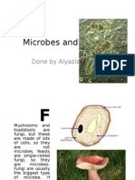 Microbes and Disease