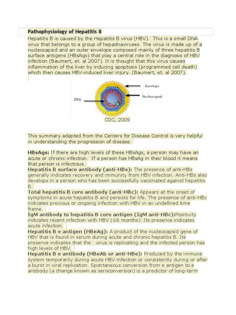 Hepatitis B Pathophysiology Overview | PDF | Hepatitis B | Hepatitis