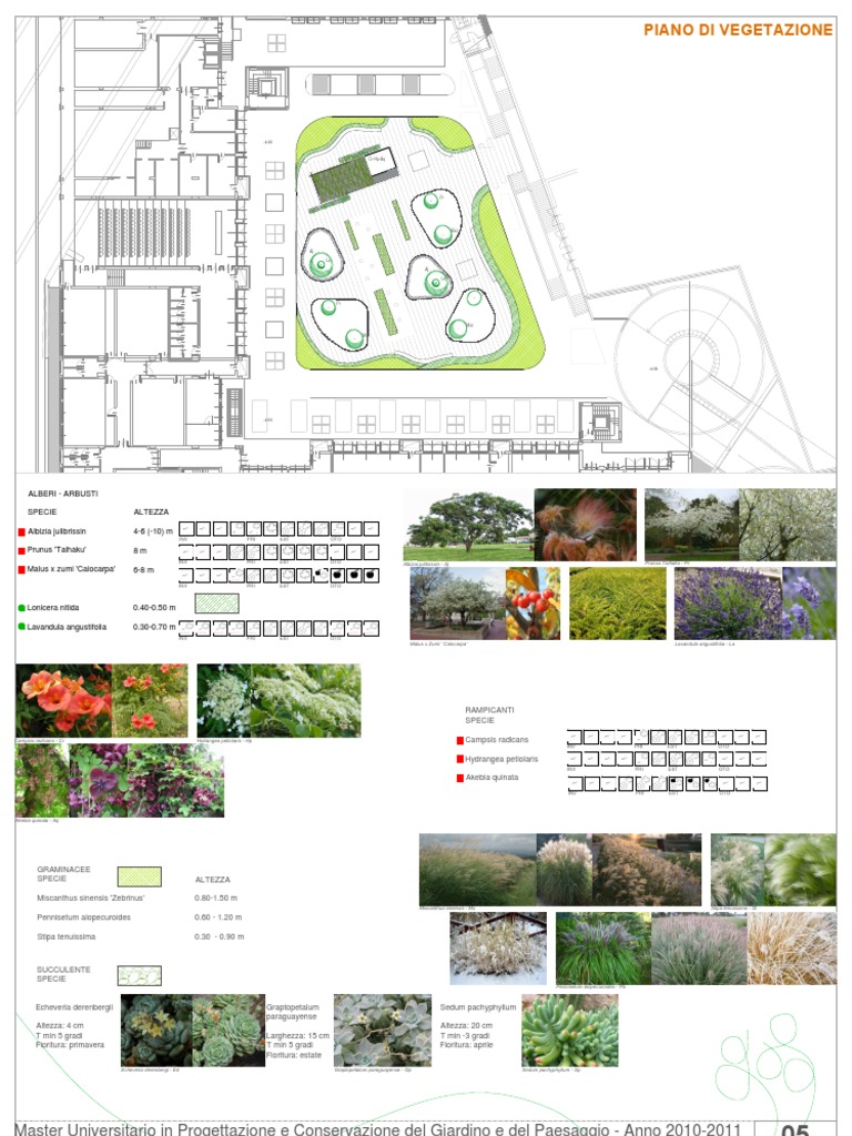 3 Vegetation | PDF