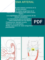 Sistema Arterial