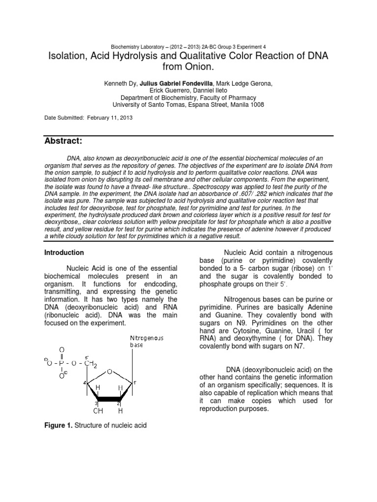 Isolation and Characterization of Onion's DNA | PDF | Nucleic Acid ...