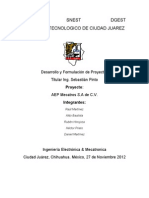 AEP Mecatros S.a de C.V / Proyecto Final de la materia de Administración de Proyectos 2012-08