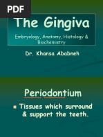 Download GINGIVA by DENTALORGCOM  SN124695533 doc pdf