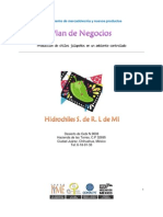 Hidrochiles y su Plan de Negocios / Proyecto Final de la materia de Administración de Proyectos 2011-08