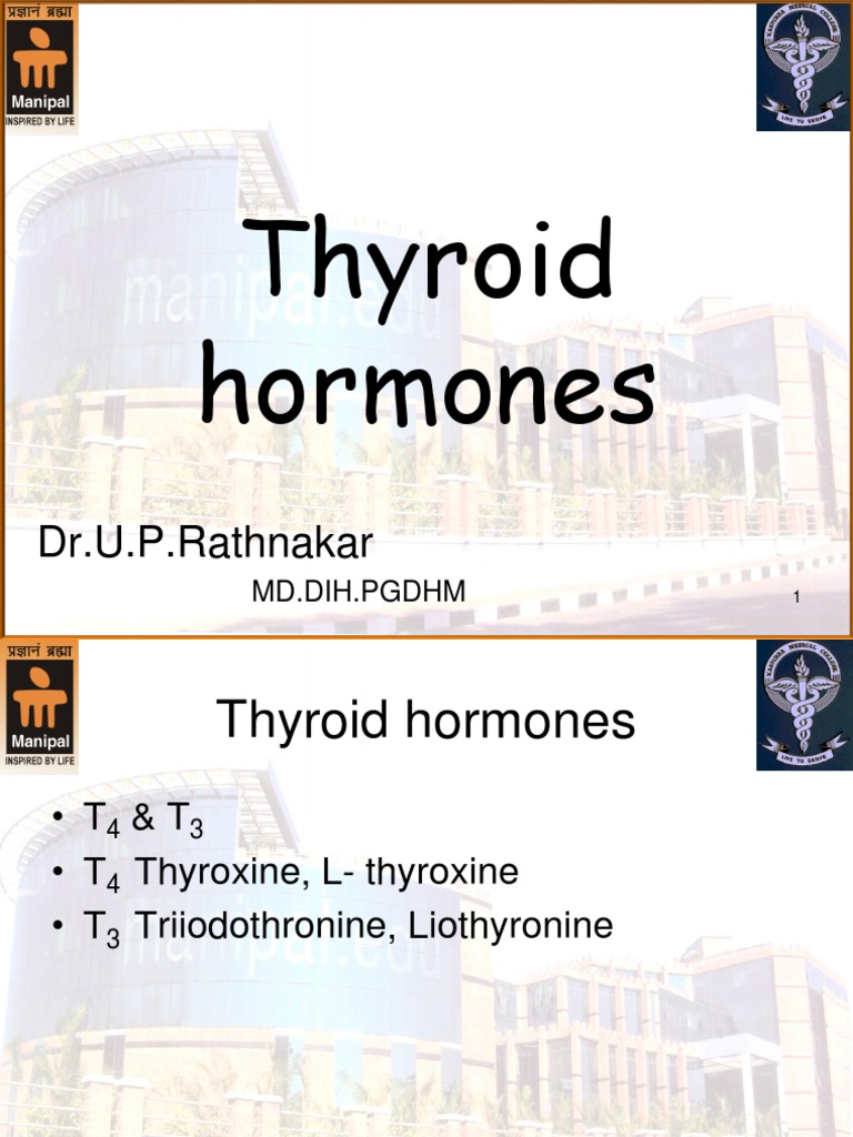 Thyroid Hormones: Functions and Treatments | PDF | Hyperthyroidism ...