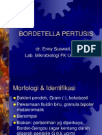 Bordetella Pertusis