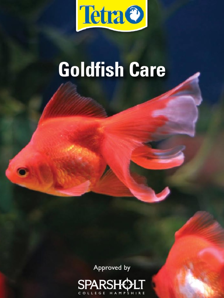 Goldfish care.pdf Aquarium Pump Free 30day Trial