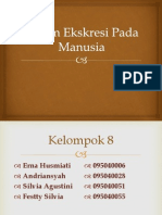 Sistem Ekskresi Pada Manusia