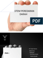 Peredaran Darah 