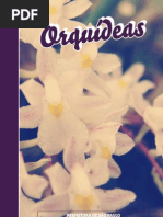 Curso Orquideas 21 Dez