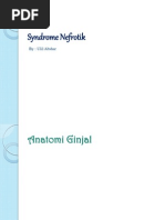 Download NEFROTIK SYNDROMEppt by Aim Aimma SN124763880 doc pdf