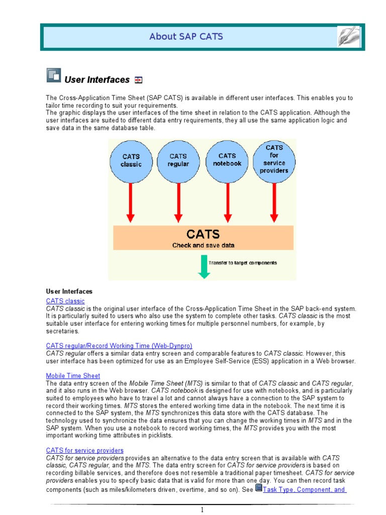Overview of SAP CATS User Interfaces | PDF | Graphical User Interfaces ...
